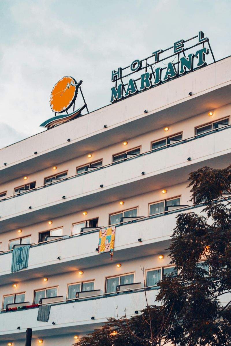 ペットリゾート青空 - Image 10