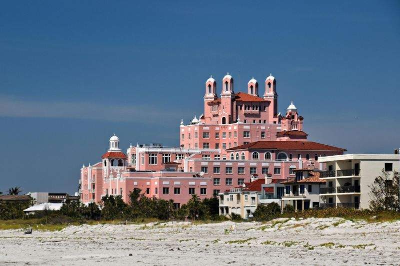 ペットリゾート青空 - Image 5